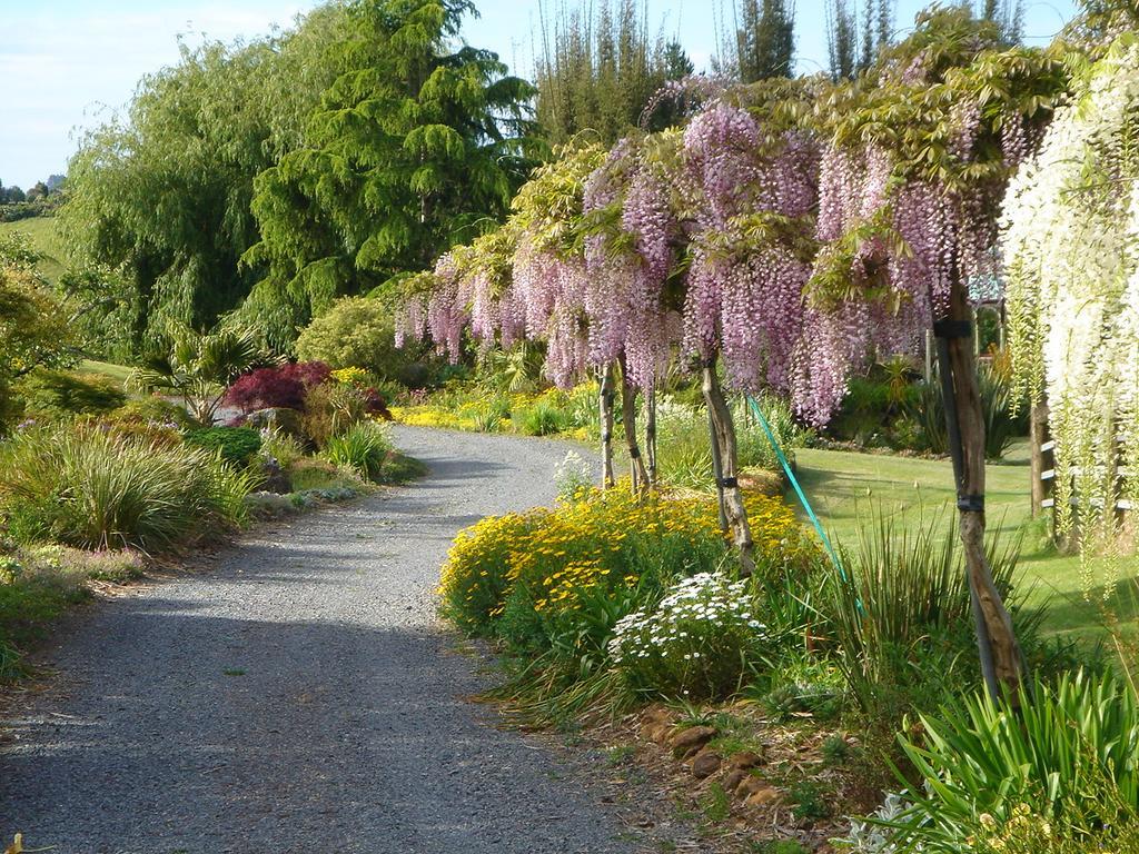 The Georgian Lodge Kerikeri Exteriér fotografie